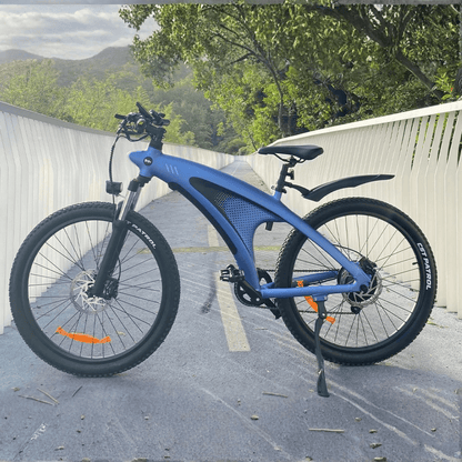 HXQ5 - Bicicleta eléctrica - Tienda de ruedas