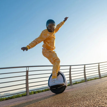 InMotion E20 - Unicycle - Wheelyshop