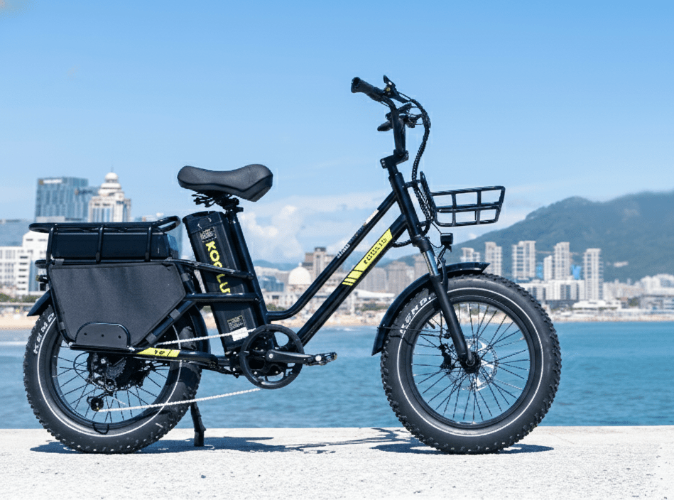 KOOLUX X8 - Bicicleta eléctrica - Tienda de ruedas