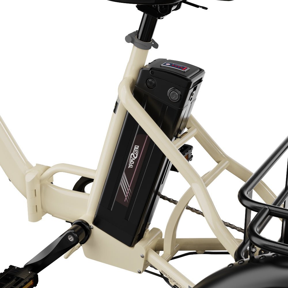 OneSport OT30 Pro- Bicicleta eléctrica - Tienda de ruedas