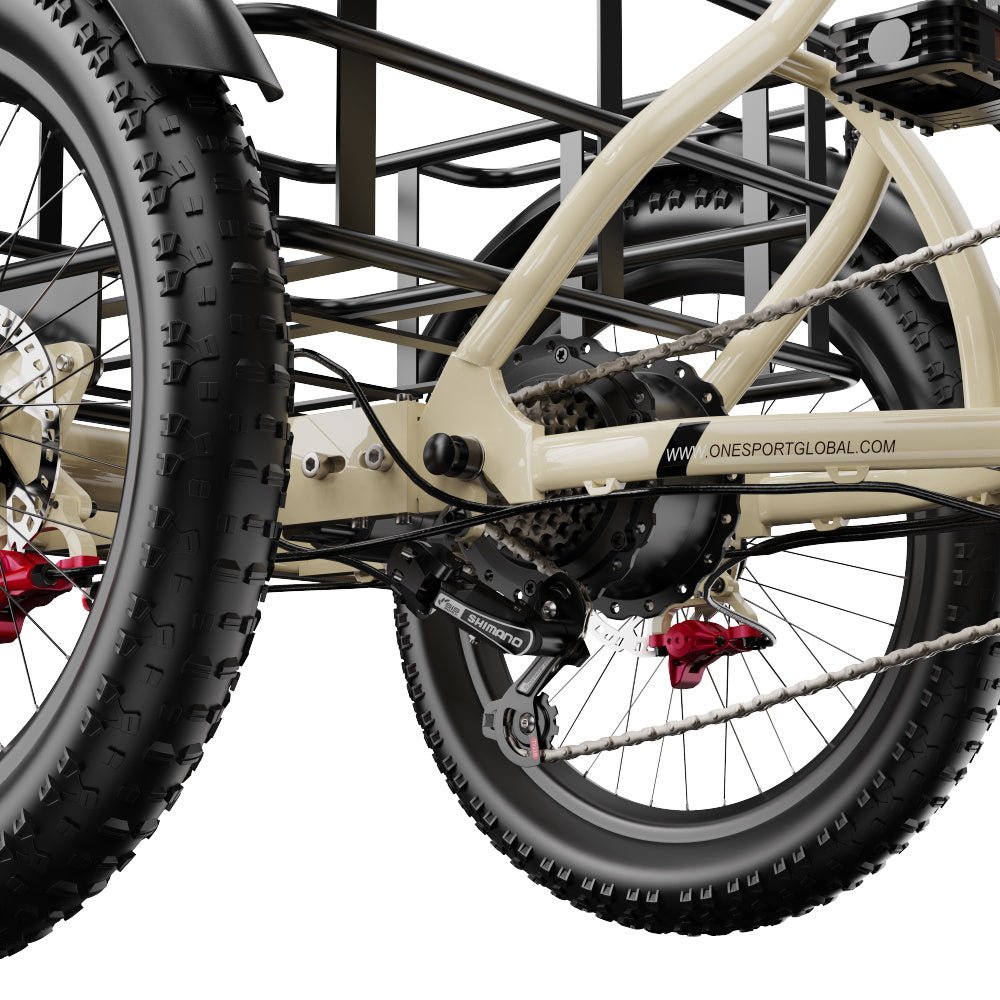 OneSport OT30 Pro- Bicicleta eléctrica - Tienda de ruedas