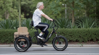 OneSport OT30 Pro- Bicicleta eléctrica - Tienda de ruedas