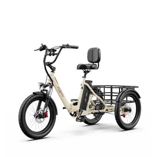 OneSport OT30 Pro- Bicicleta eléctrica - Tienda de ruedas