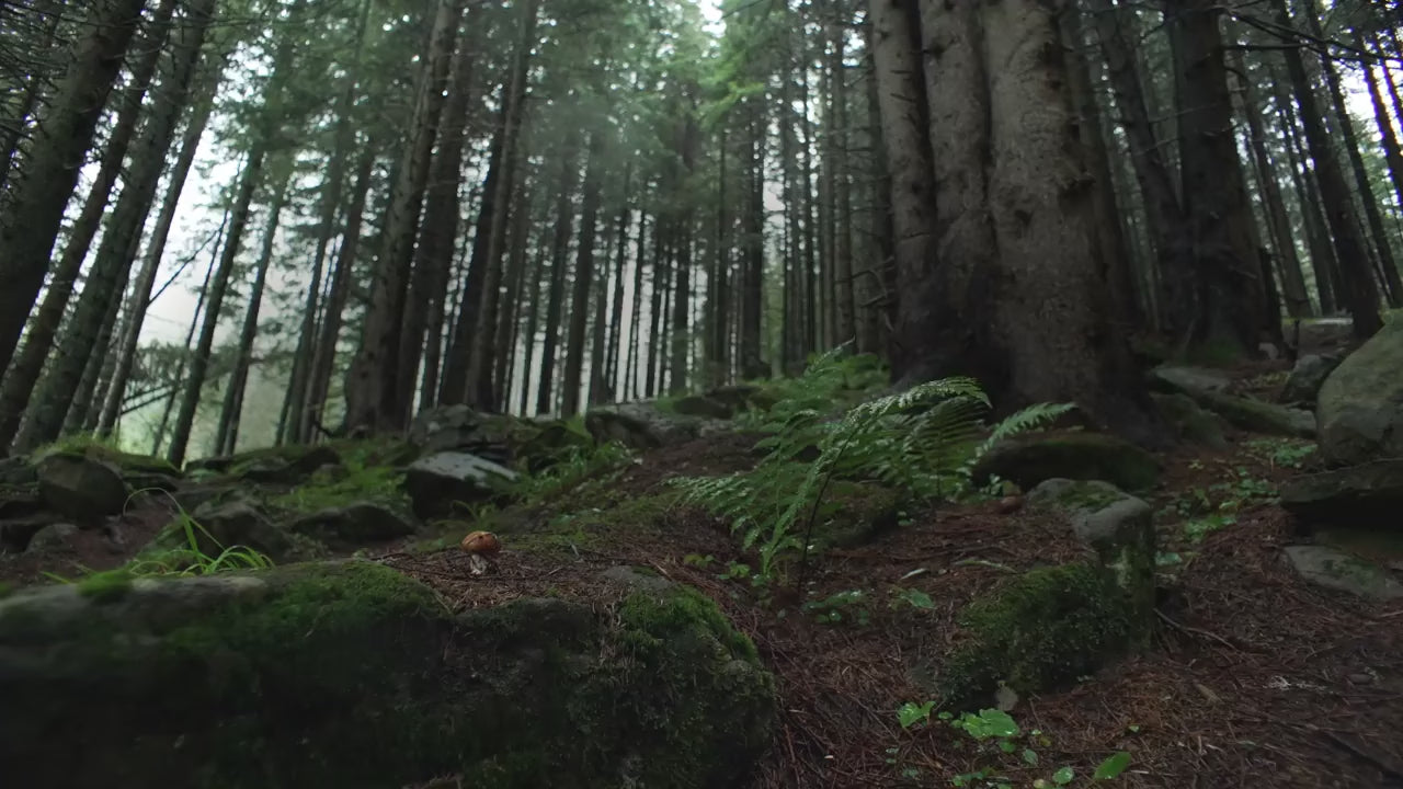 InMotion V14 Enhjuling reklamvideo