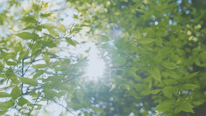 iScooter i9 Elsparkcykel reklamvideo - Wheelyshop