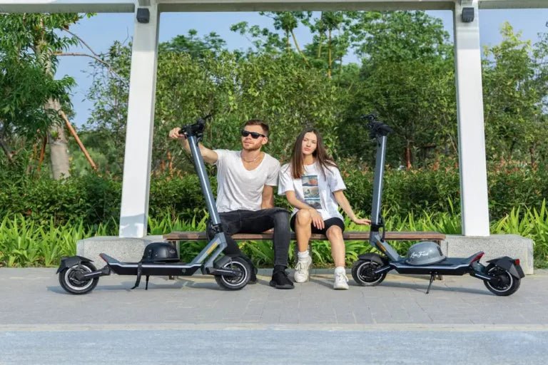 Punk Rider - Electric scooter - Wheelyshop