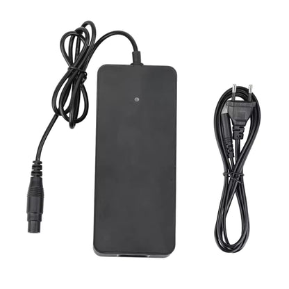 Quick charger Xiaomi 4 Pro Plus/Max + Ninebot ZT3 - Accessories - Wheelyshop