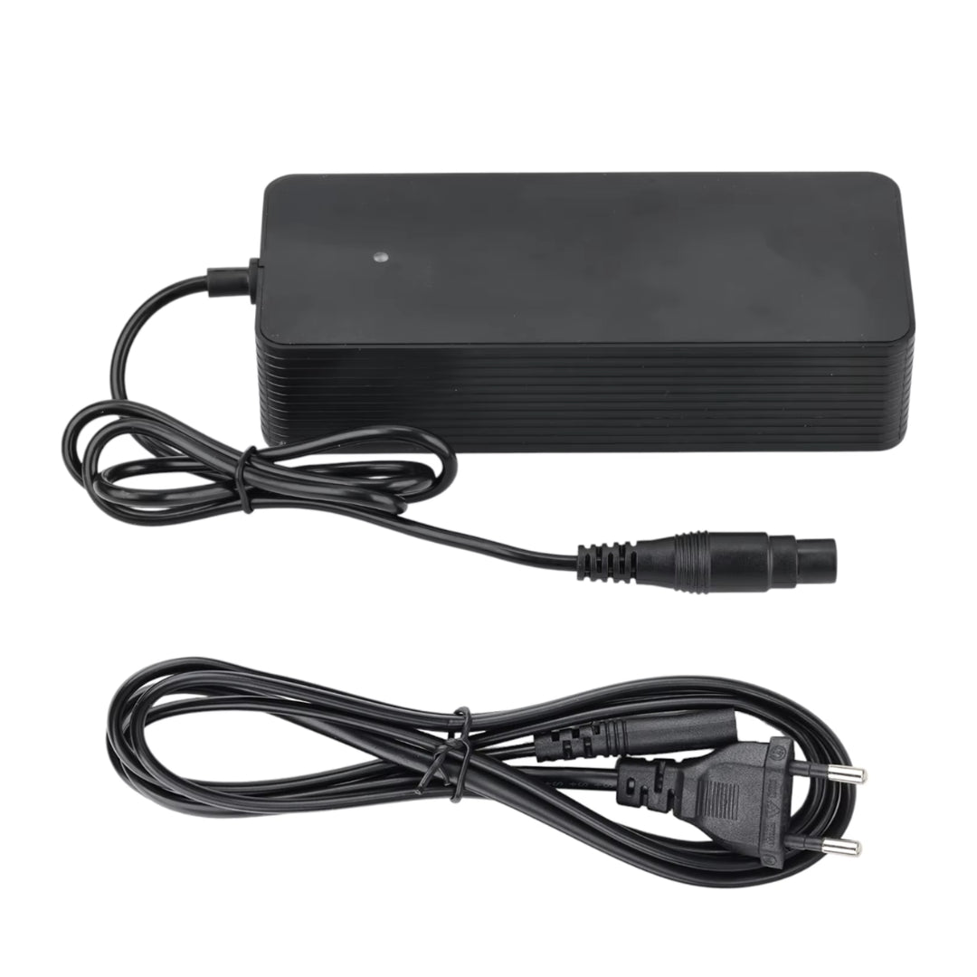 Quick charger Xiaomi 4 Pro Plus/Max + Ninebot ZT3 - Accessories - Wheelyshop