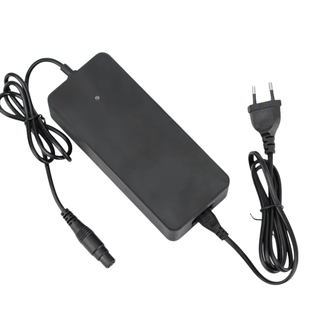 Quick charger Xiaomi 4 Pro Plus/Max + Ninebot ZT3 - Accessories - Wheelyshop