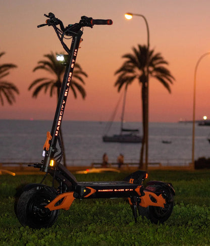 HOJA TEVERUN GT II - Patinete eléctrico - Tienda de ruedas