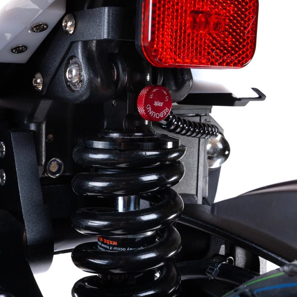 TEVERUN LUCHADOR SUPREMO PLUS - Patinete eléctrico - Tienda de ruedas