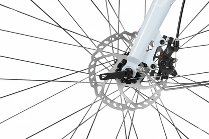 VARUN C700-7- Bicicleta eléctrica - Tienda de ruedas