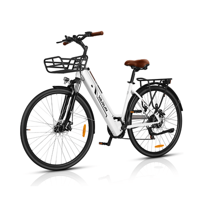 VARUN C700-8- Bicicleta eléctrica - Tienda de ruedas