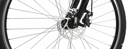 VARUN C700-8- Bicicleta eléctrica - Tienda de ruedas