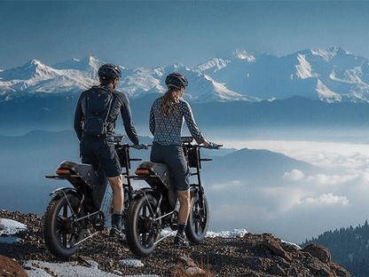 VARUN X - Bestia Exploradora - Bicicleta eléctrica - Tienda de ruedas