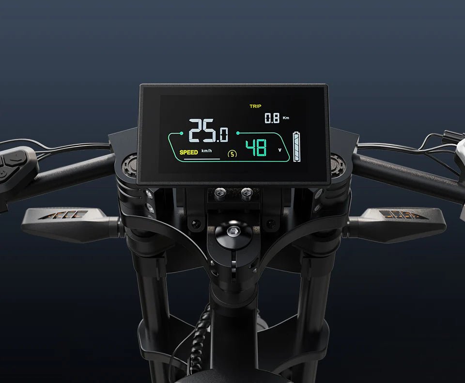 VARUN X - Raptor Plorer - Bicicleta eléctrica - Tienda de ruedas