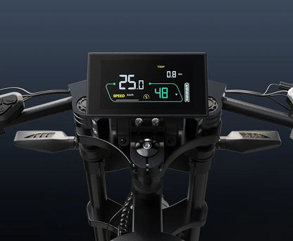 VARUN X - Raptor Plorer - Bicicleta eléctrica - Tienda de ruedas