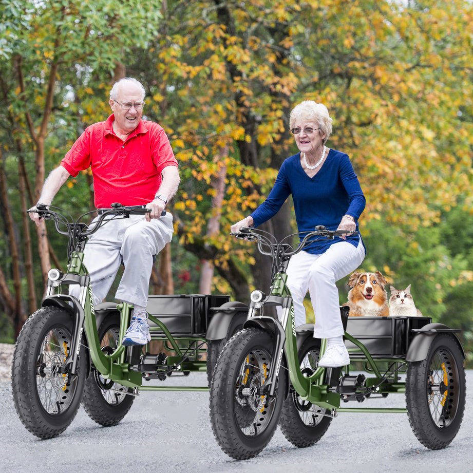 VIPCOO ET1 - Bicicleta eléctrica - Tienda de ruedas