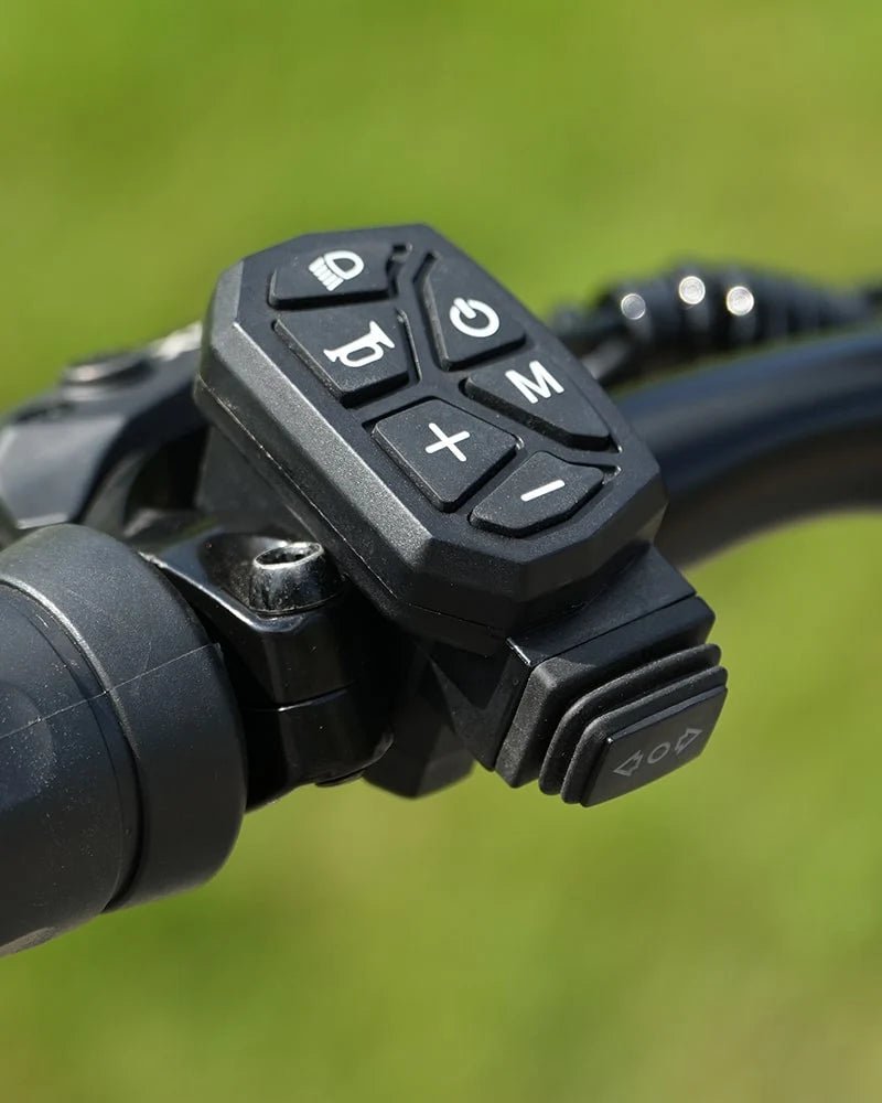 VIPCOO VS9 - Patinete eléctrico - Tienda de ruedas