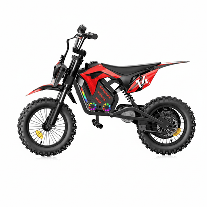 Rueda - A14 - Bicicleta eléctrica - Tienda de ruedas