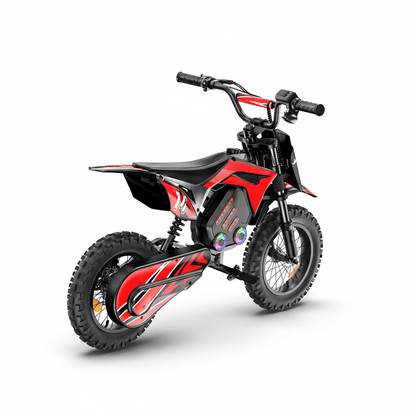 Rueda - A14 - Bicicleta eléctrica - Tienda de ruedas