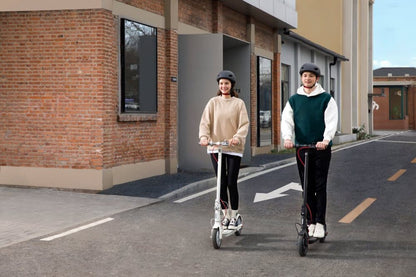 Xiaomi 3 Lite Nordic Edition - Electric scooter - Wheelyshop